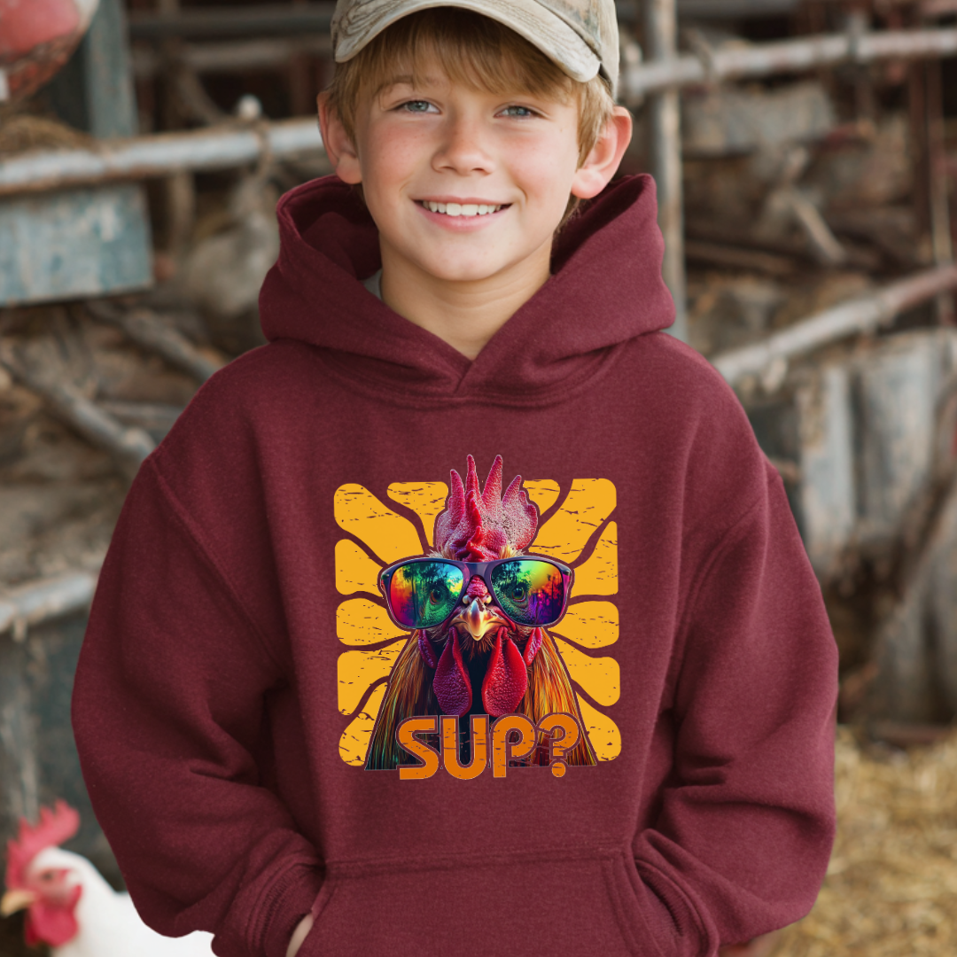 Child wearing a maroon hoodie with a colorful graphic design, standing in a barn-like setting.
